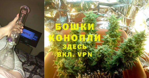 PSILOCYBIN Волоколамск